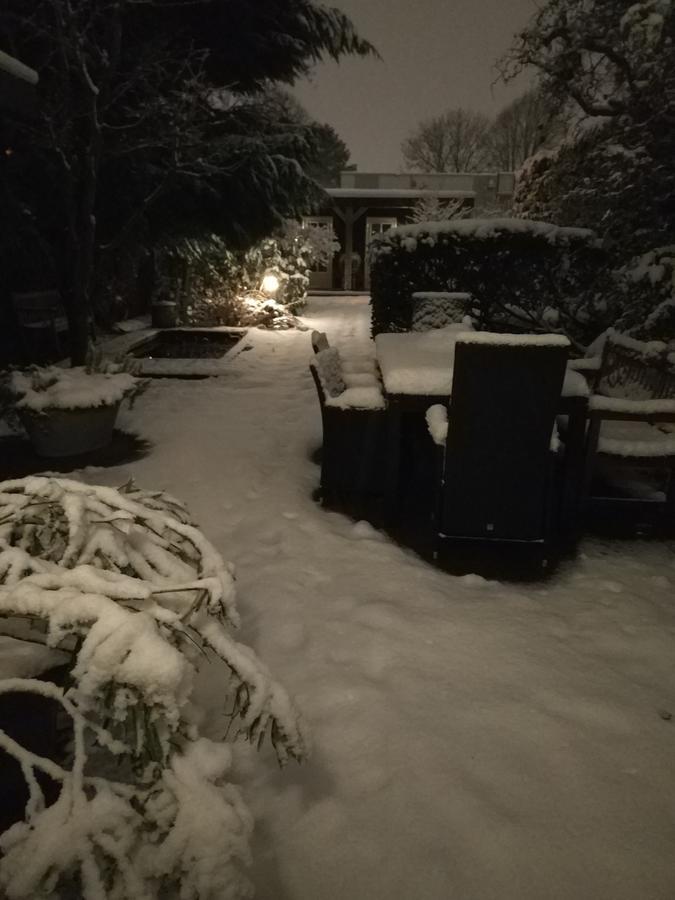 B&B Hoofddorp Exteriör bild